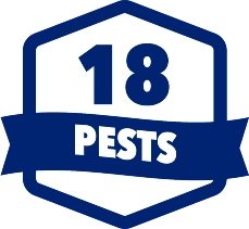 18 types of pests covered in Tennessee and Kentucky by Ace Exterminating