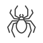 Spider control in Middle Tennessee and Southern Kentucky by Lookout Pest Control, formerly Ace Exterminating