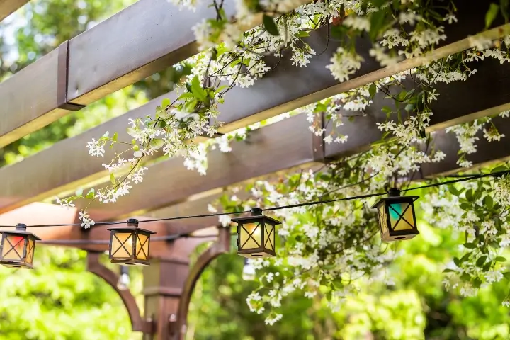 Close up of flowers on a canopy outside - Carpenter bee control in Middle Tennessee and Southern Kentucky by Lookout Pest Control, formerly Ace Exterminating