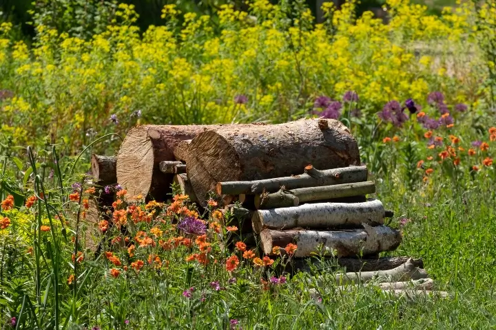 Stack of woodpiles outside near tall flowers - Cricket bee control in Middle Tennessee and Southern Kentucky by Lookout Pest Control, formerly Ace Exterminating